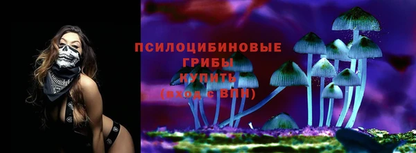 spice Богородск