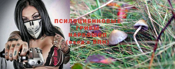 скорость mdpv Белокуриха