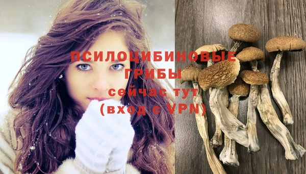 spice Богородск