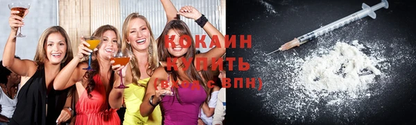 spice Богородск